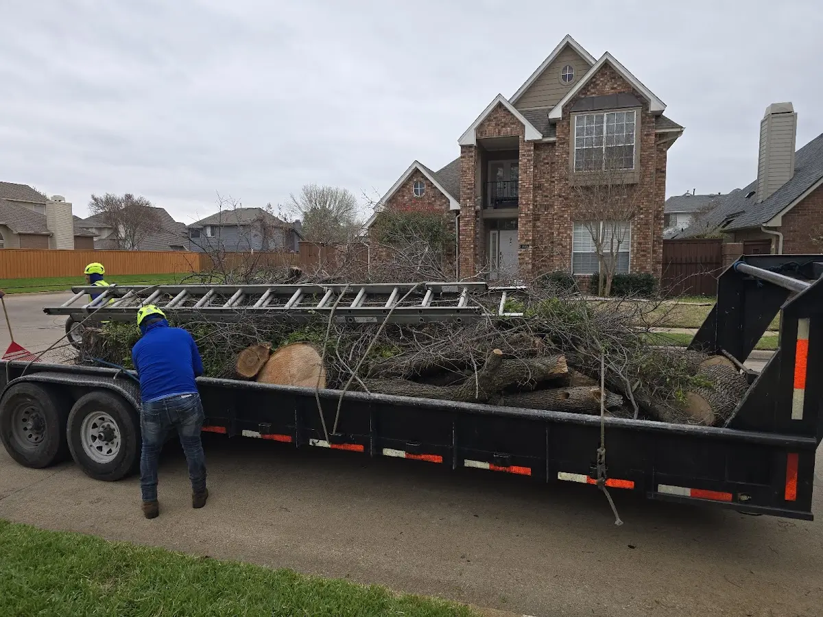 Expert Tree Removal with proper safety equipment in Owls Head